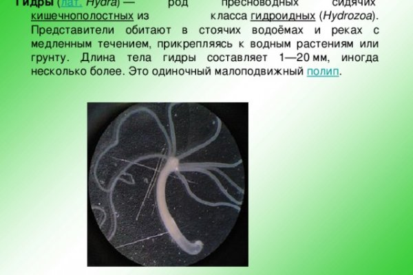 Кракен сайт работает