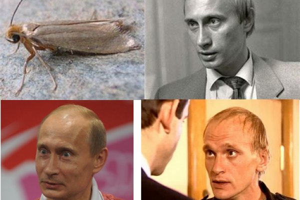 Кракен ссылка pw