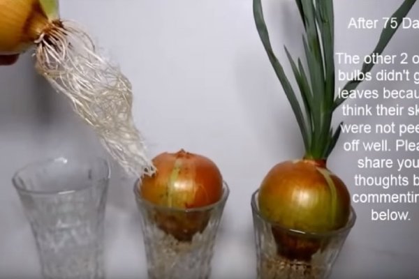 Кракен какой сайт