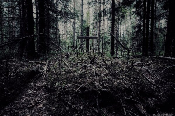 Кракен зеркало на сегодня