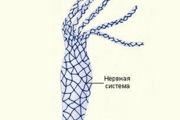 Кракен даркнет тг