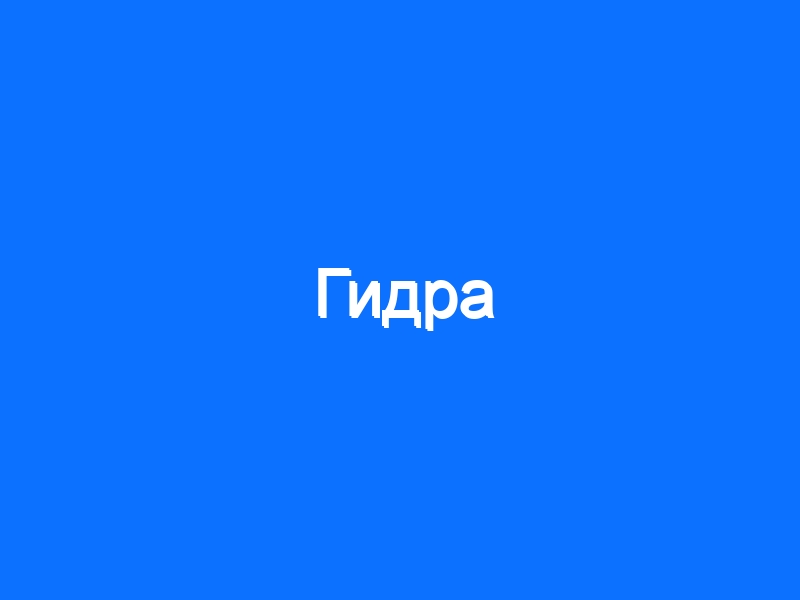Кракен онион тор
