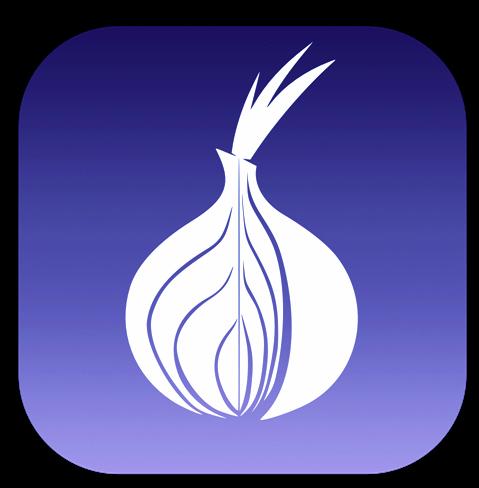 Kraken onion link